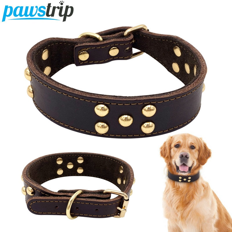 Dog collar Ergonomic Walking Harness Premium Design | Majestic Pet Kingdom™