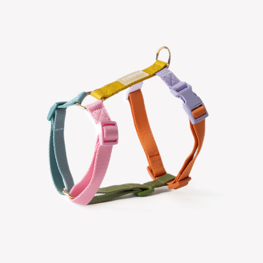 Rainbow - Dog Harness | Purrfect Pet Kingdom