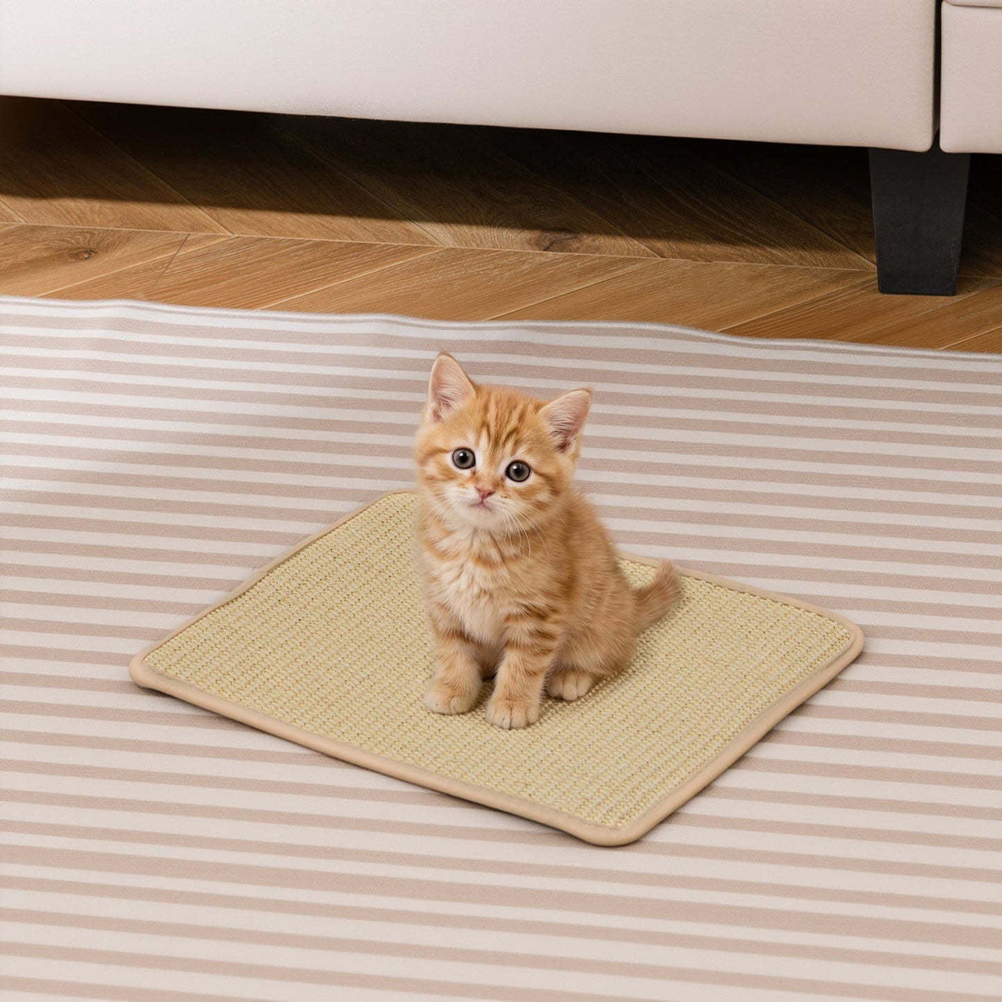 Cat Scratcher Mat Set - 6 Piece Natural Sisal Furniture Protector | Purrfect Pet Kingdom