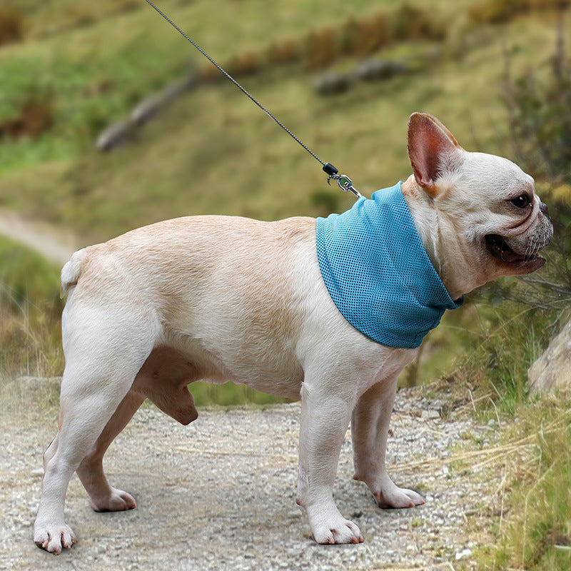 Luxury Pet Essentials - Purrfect Pet Kingdom™