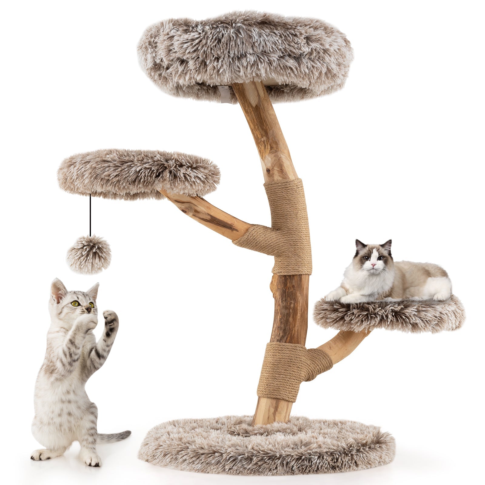 Cat Tree Solid Pear Wood with Perch and Natural Jute Scratching Posts-Brown - Majestic Pet Kingdom