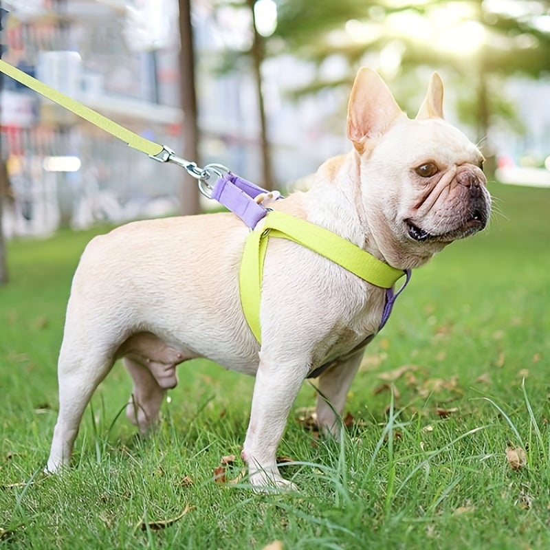 Rainbow Colorblock Pet Harness Set Anti-Escape Vest Type Dog Harness | Majestic Pet Kingdom™
