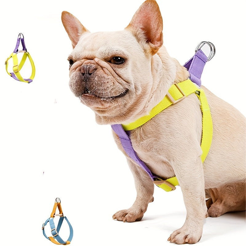 Luxury Pet Essentials - Purrfect Pet Kingdom™
