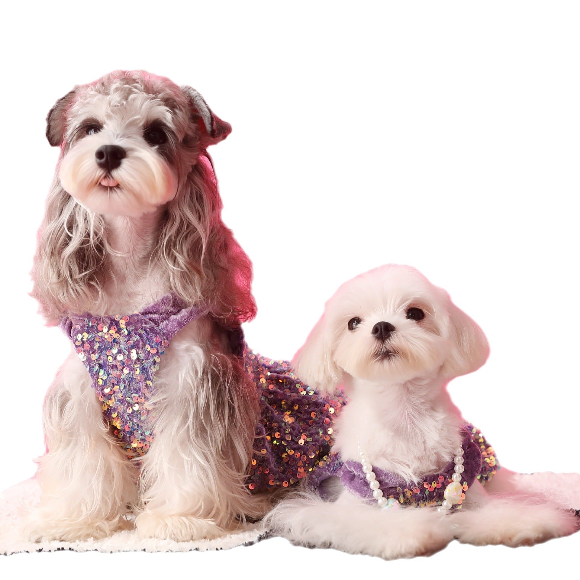 Female Dog Clothes Autumn Dress Velvet Sequins - Majestic Pet Kingdom