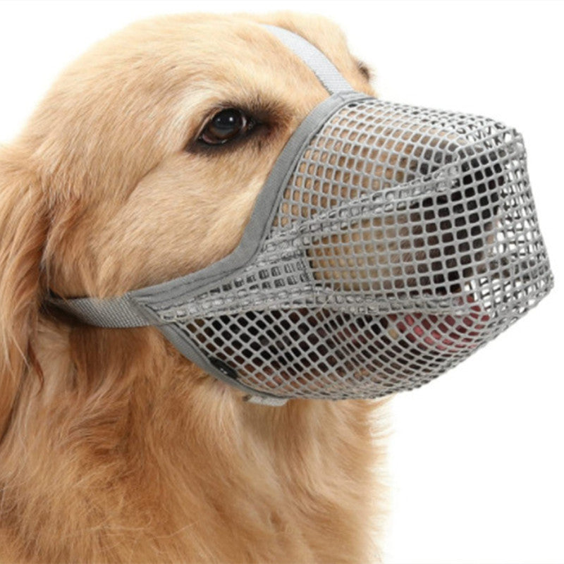 Luxury Pet Essentials - Purrfect Pet Kingdom™