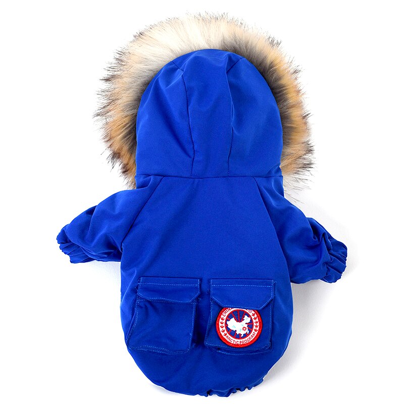Pet dog clothes wool hat clothes cotton clothes - Majestic Pet Kingdom