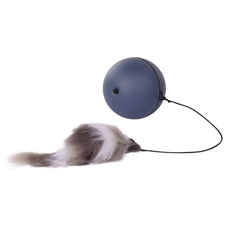 Automatic Intelligent Moving Mouse Teaser Ball