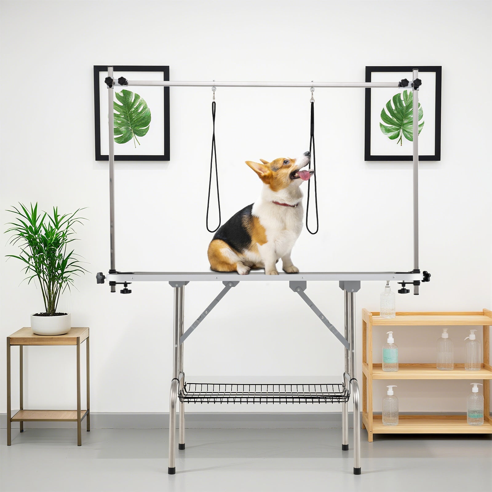 Foldable Dog Grooming Table with Height Adjustable Arms-Black - Majestic Pet Kingdom