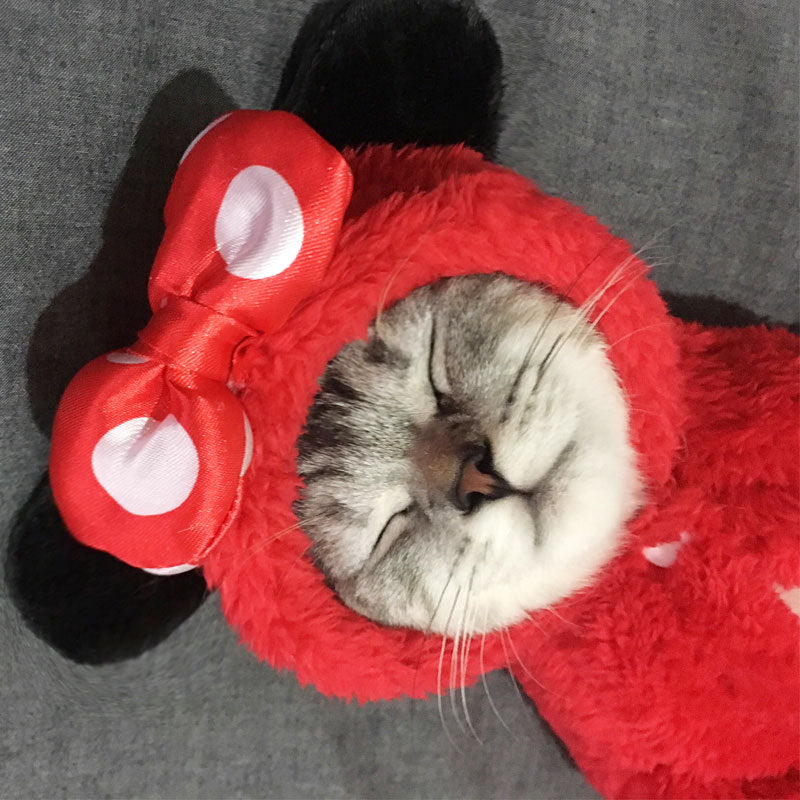 Cat clothes kitten cat cute funny pet - Majestic Pet Kingdom