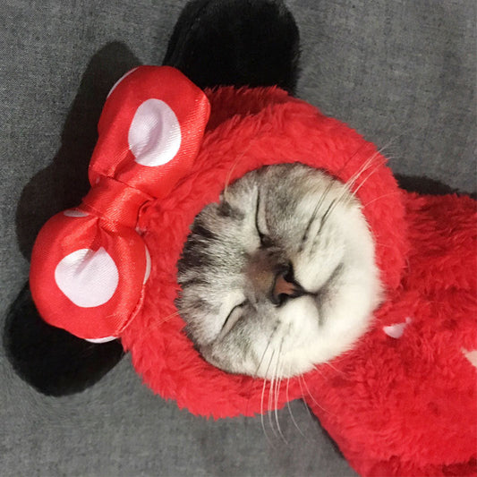 Cat clothes kitten cat cute funny pet - Majestic Pet Kingdom