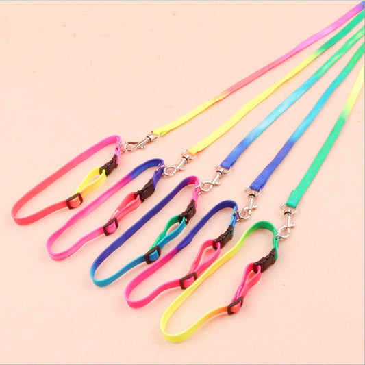 Round rainbow color cat leash dog chain
