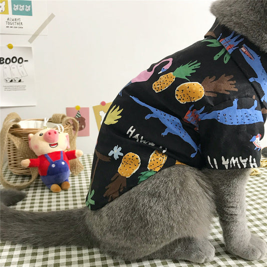 Cat clothes - Majestic Pet Kingdom