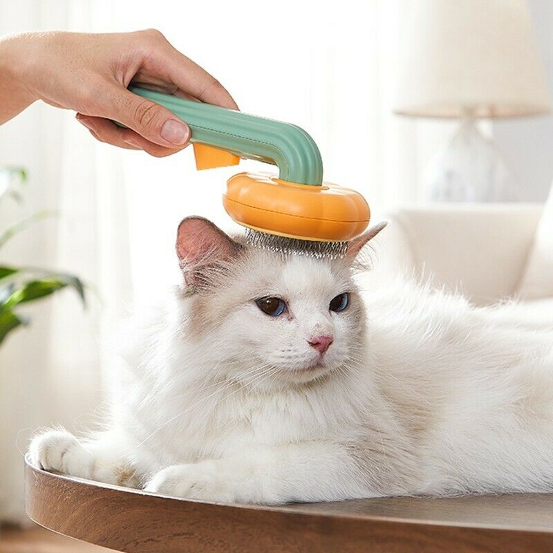Pet Pumpkin Brush, Pet Grooming Self Cleaning Slicker Brush For Dogs Cats Puppy Rabbit, Cat Brush Grooming Gently Removes Loose Undercoat, Mats Tangled Hair Slicker Brush - Majestic Pet Kingdom