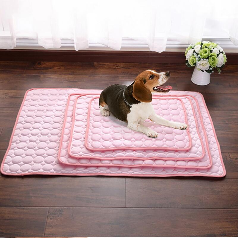 Pet Product - Premium Pet Accessory