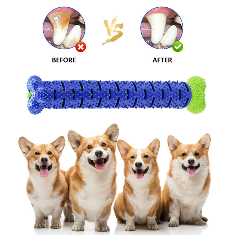 Dog Chew Toys Toothbrush Pets Molar Tooth Cleaning Brushing Stick | Majestic Pet Kingdom™