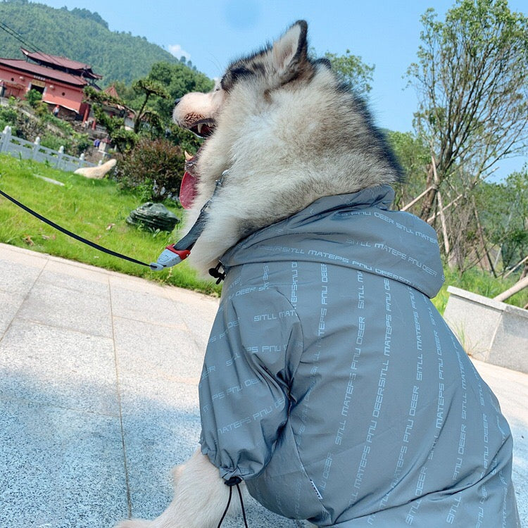 Pet non-fury windproof clothing - Majestic Pet Kingdom