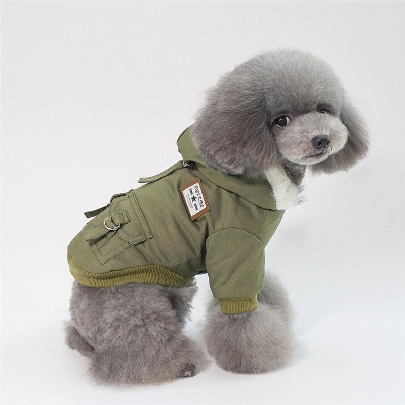 Cap dog coat - Majestic Pet Kingdom