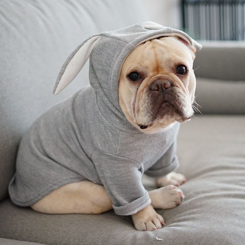 Dog Pet Clothes Spring And Autumn Clothing - Majestic Pet Kingdom