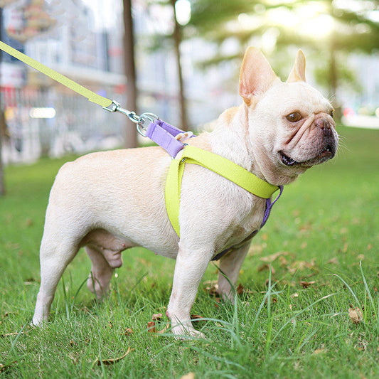 Color Pet Drawstring Leash Vest-style Dog Leash - Best Value