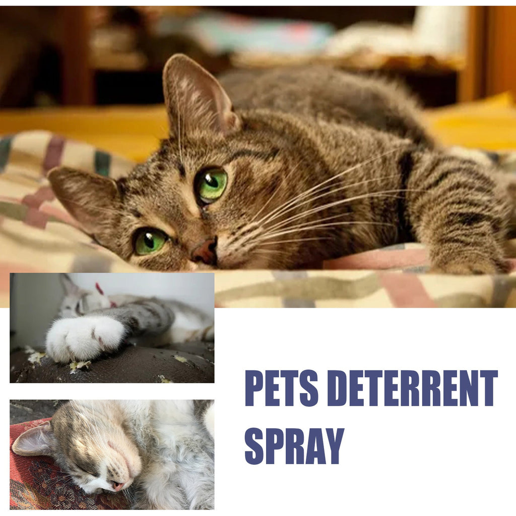 Pet Anti-Scratch Spray Exclusion Zone Set Up Spray Cat And Dog Scratching Door Sofa Anti-Scratch Solution - Majestic Pet Kingdom