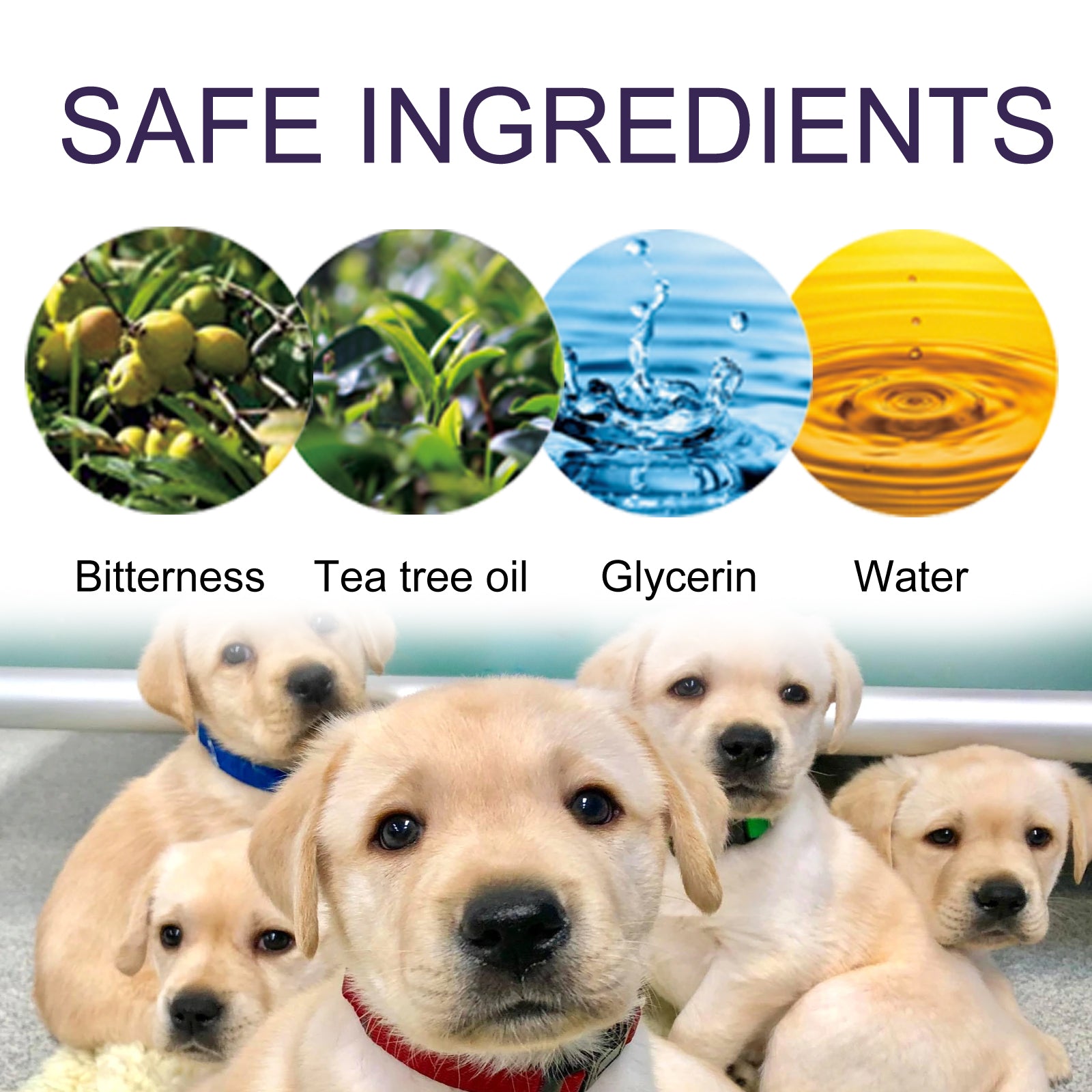 Bitter Anti-Chewing Spray for Dogs & Cats: Furniture Guard - Majestic Pet Kingdom