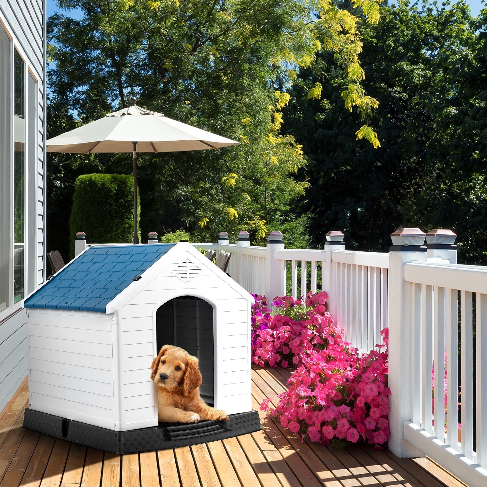 Pet Supply Product | The Finest Market