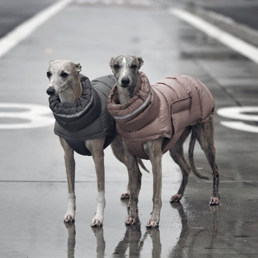 Dog Clothes Thickened Thermal Vest Cotton Coat - Majestic Pet Kingdom