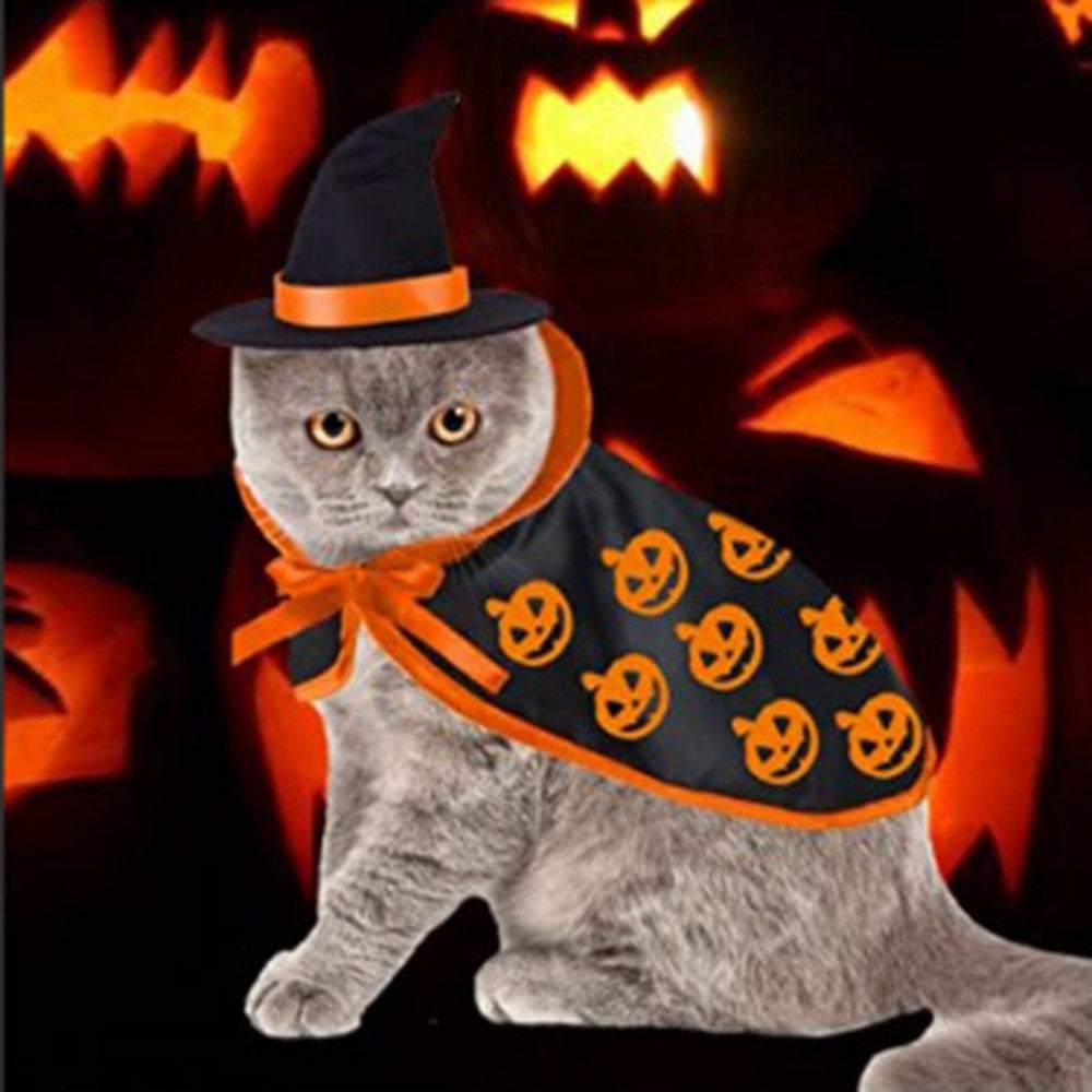 Luxury Pet Essentials - Purrfect Pet Kingdom™
