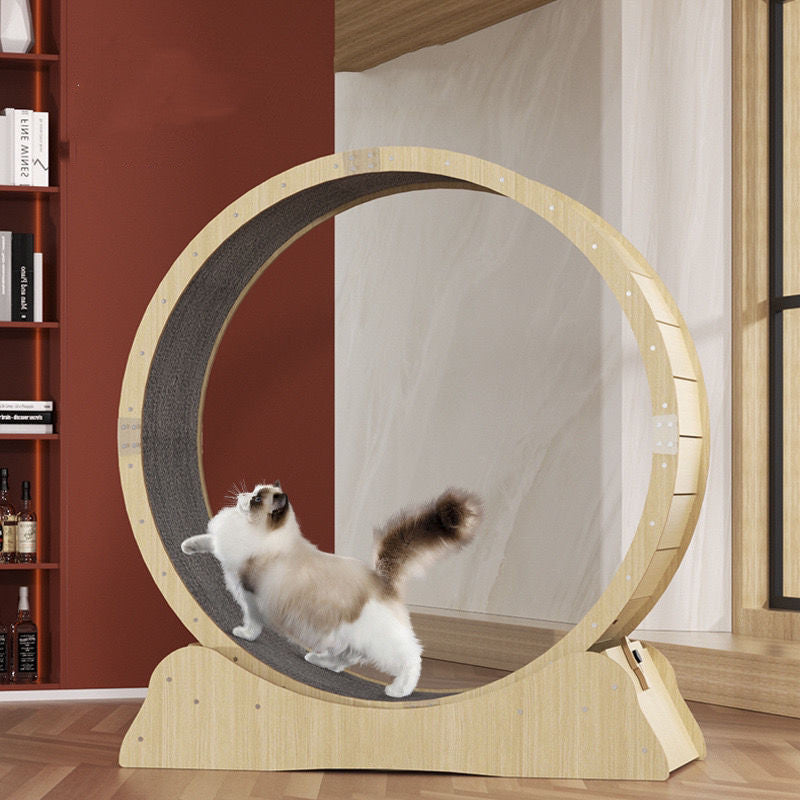 Silent Cat Fitness Treadmill Roller Sports Running Wheel - Majestic Pet Kingdom
