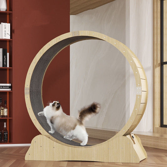 Silent Cat Fitness Treadmill Roller Sports Running Wheel - Majestic Pet Kingdom