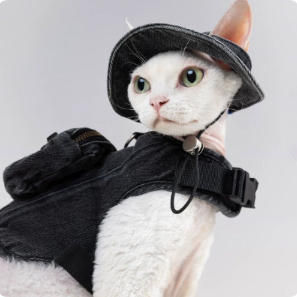 Adjustable Traction Vest And Fisherman's Hat Set For Walking A Cat In Devon. - Majestic Pet Kingdom