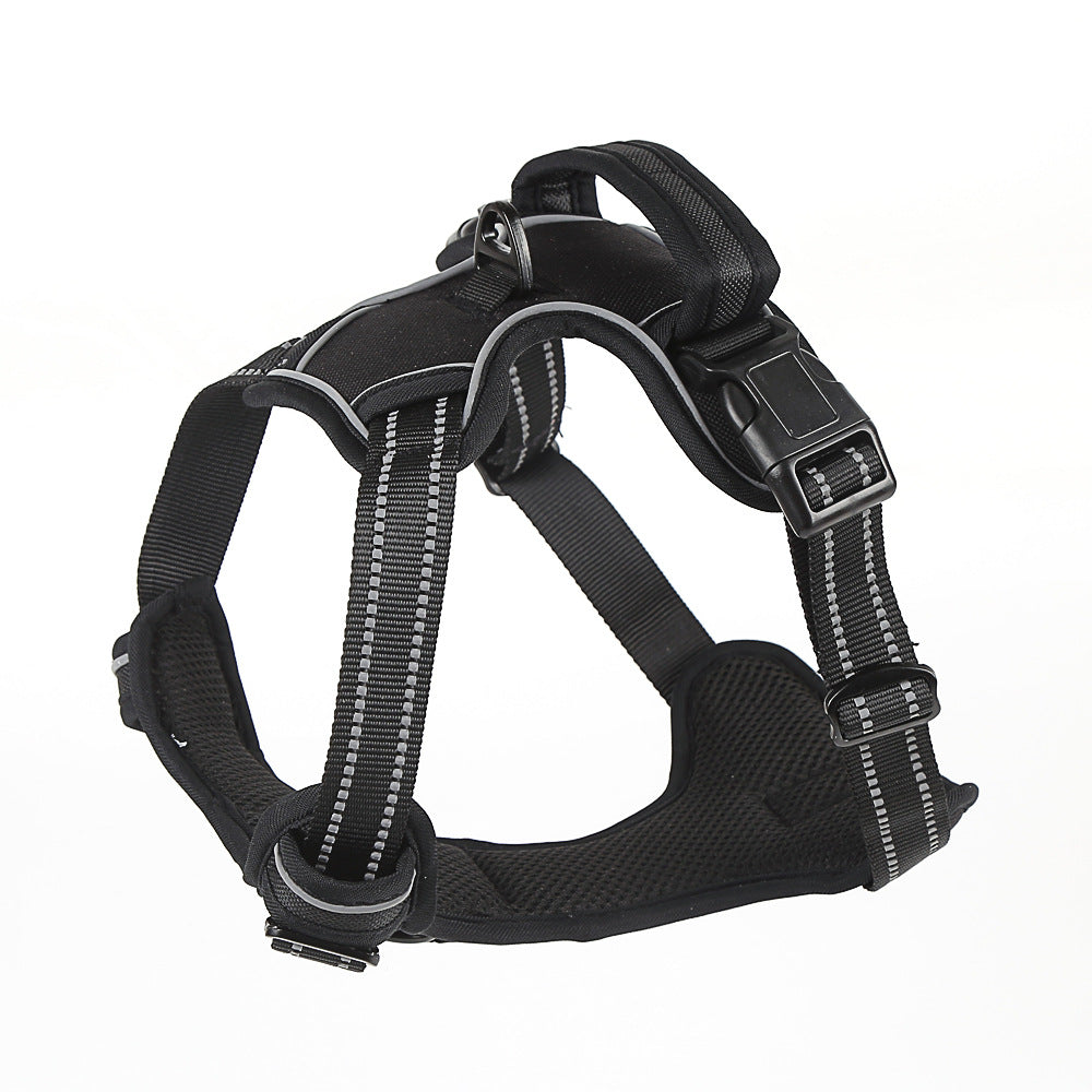 Pet Product - Premium Pet Accessory