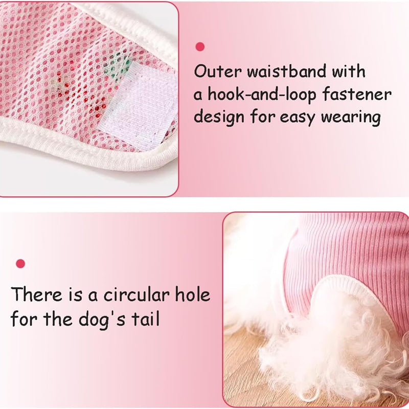 Pet Product - Premium Pet Accessory