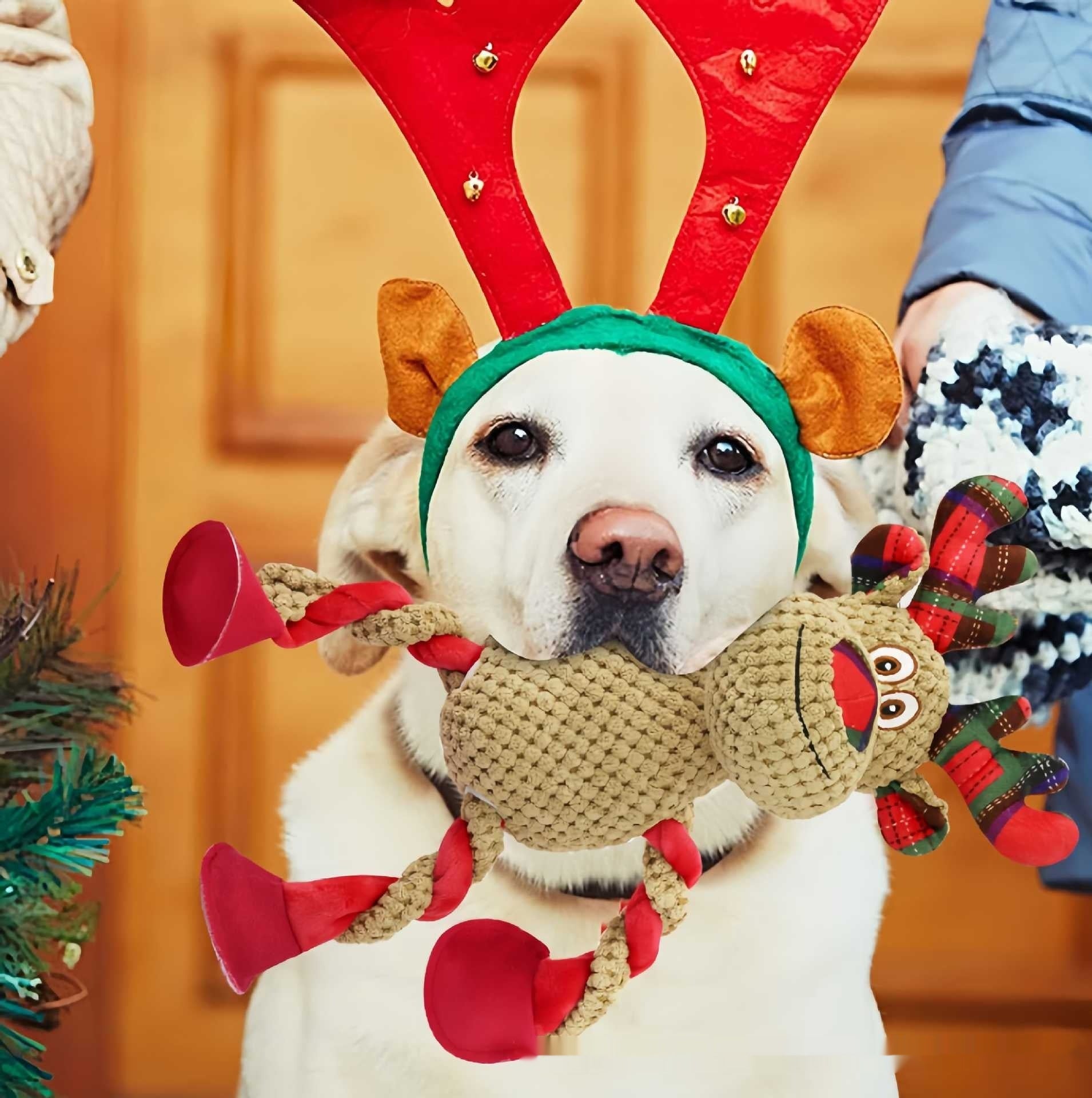 Teething And Dental-cleaning Pet Christmas Toy
