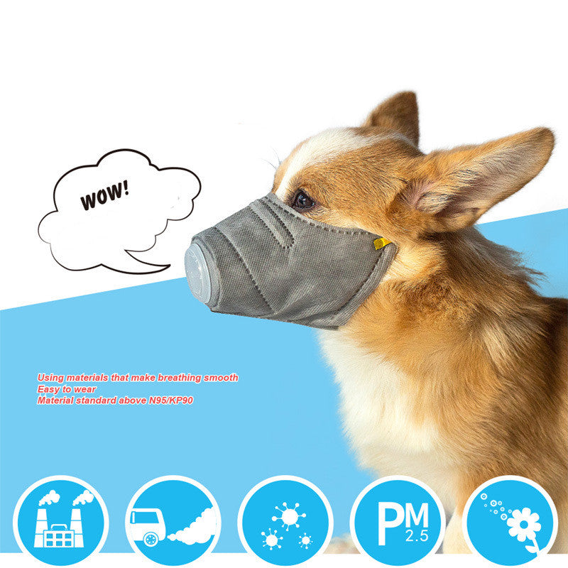Luxury Pet Essentials - Purrfect Pet Kingdom™
