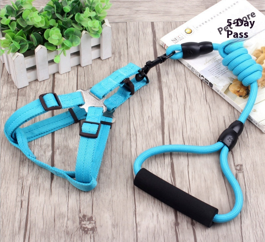 Dog Collar and Leash Set Heavy Duty Stainless Steel Metal Chain - Detail Angle 6 | Majestic Pet Kingdom