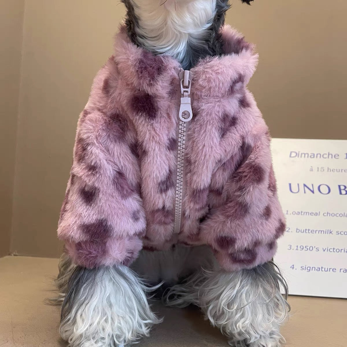 Pet Product - Premium Pet Accessory