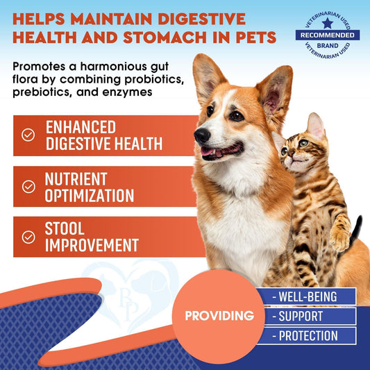 Pet Probiotics Powder Prebiotics Digestive Enzymes Gut Health