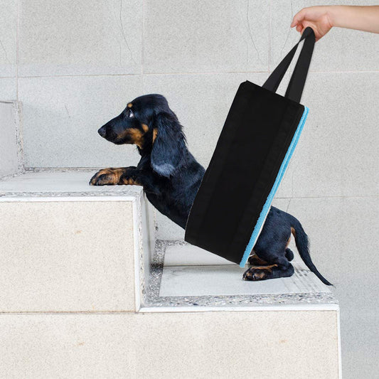 Dog Lift Harness Auxiliary Support Belt for Senior Mobility