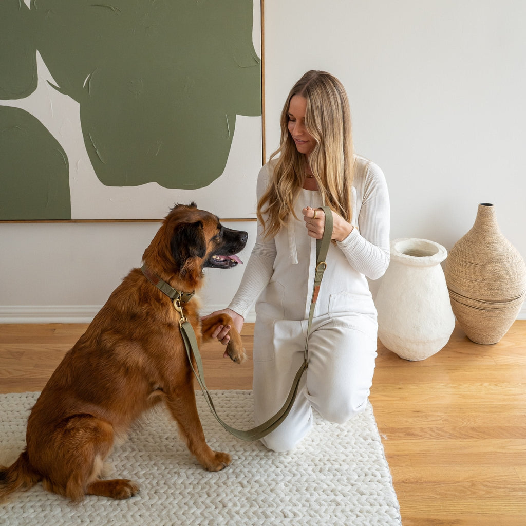 Tilley + Me Hemp Cotton Dog Leash - Durable, Sustainable, Adjustable, Lightweight & Soft- Joshua Tree