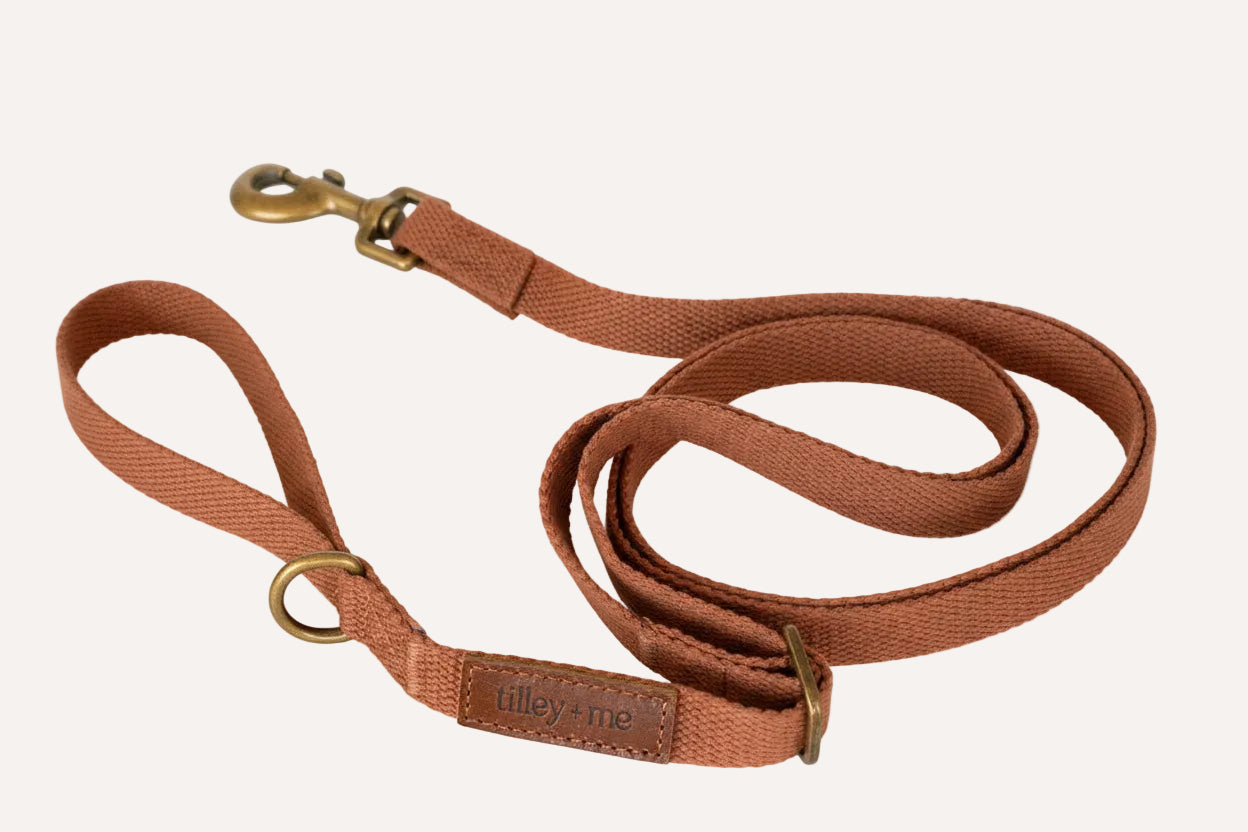 Tilley + Me Hemp Cotton Dog Leash - Durable, Sustainable, Adjustable, Lightweight & Soft- Joshua Tree