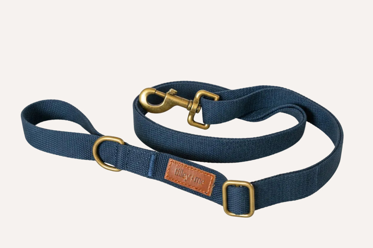 Tilley + Me Hemp Cotton Dog Leash - Durable, Sustainable, Adjustable, Lightweight & Soft- Joshua Tree