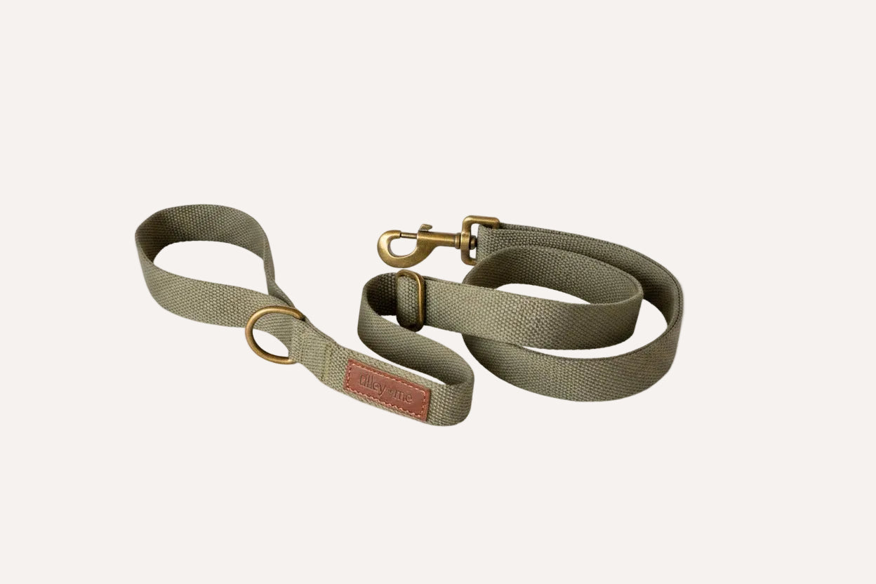 Tilley + Me Hemp Cotton Dog Leash - Durable, Sustainable, Adjustable, Lightweight & Soft- Joshua Tree