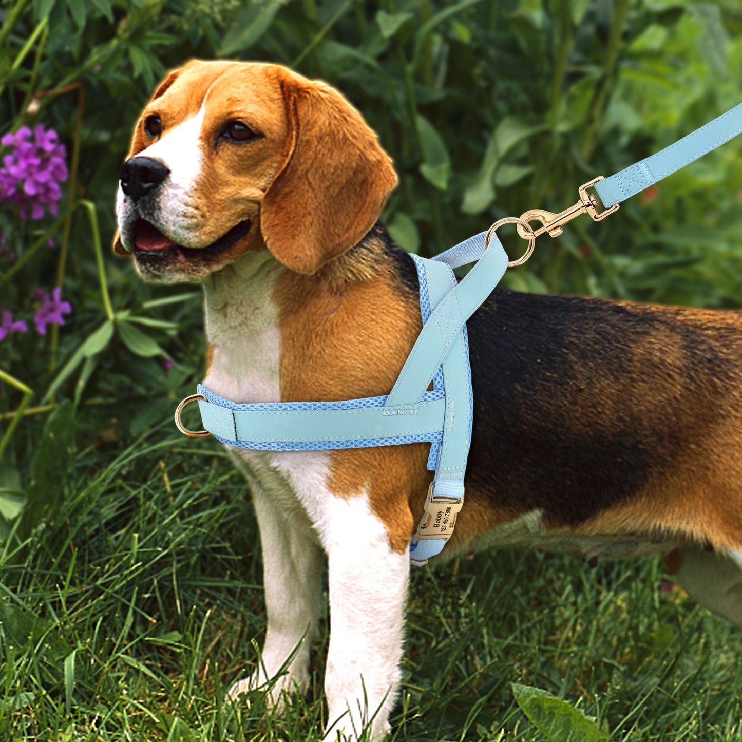 Dog Harness and Leash Set Personalized Reflective No-Pull Vest - Main Feature View | Majestic Pet Kingdom