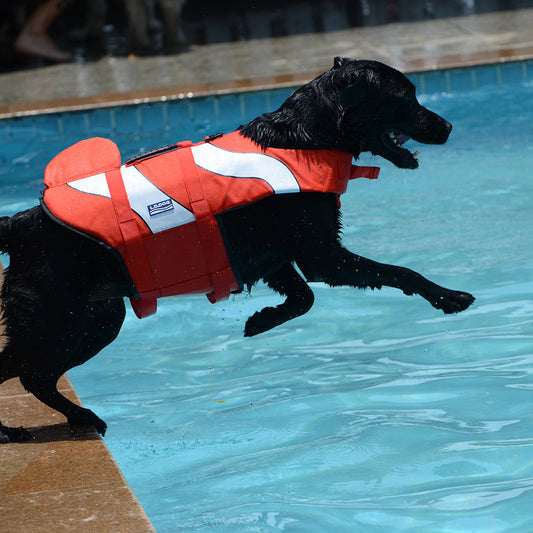 Mermaid Shark Pet Dog Swimming Life Vest Adjustable Dog Life Jacket for Small Large Pet Dog Summer Dog Life Aid Vest Swimwear - Majestic Pet Kingdom