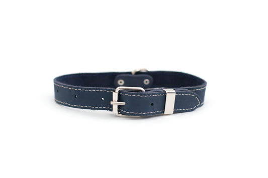 Pro Line Leather Hunting Dog Collar
