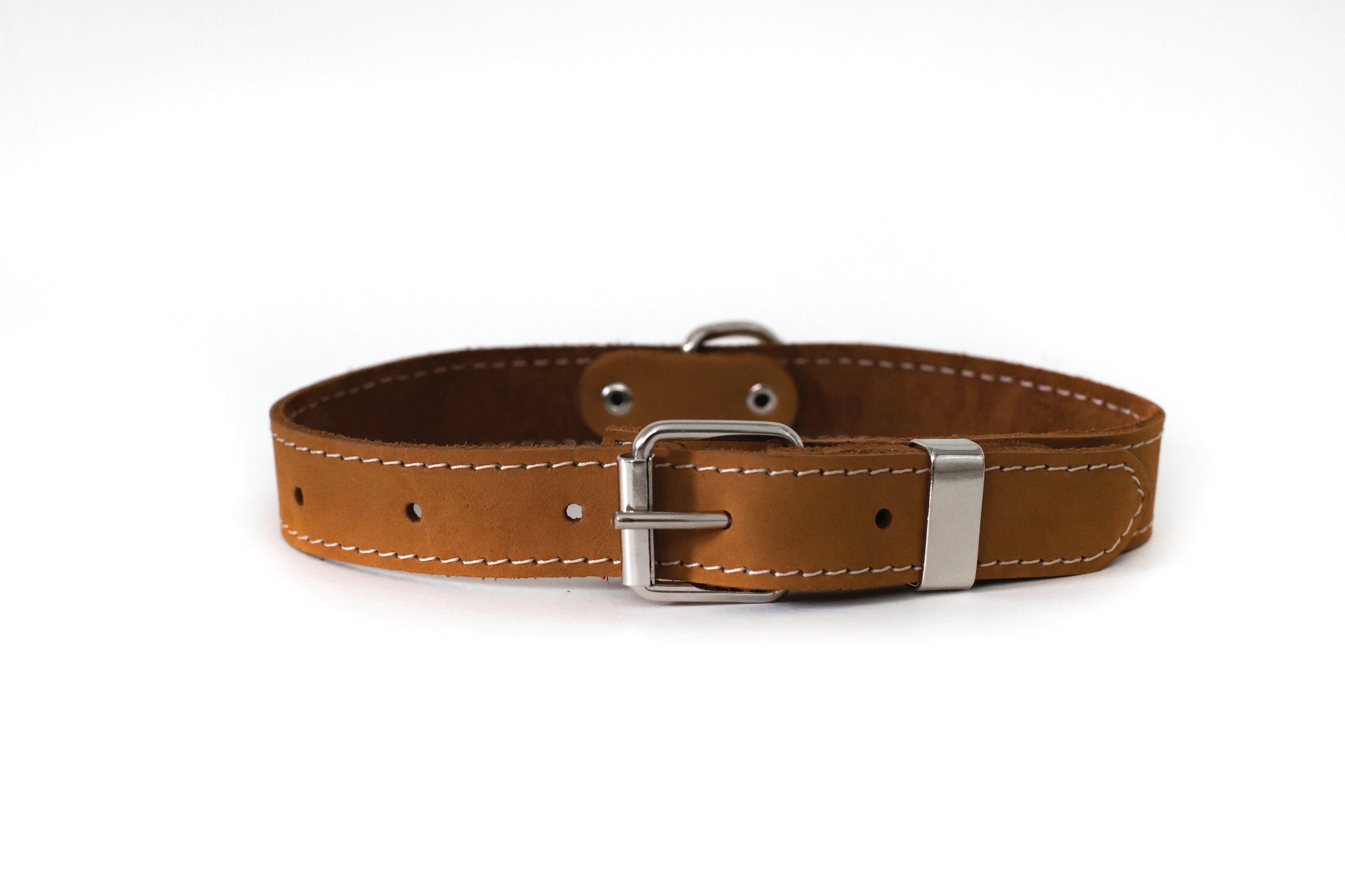 Dog Collar Genuine Leather Heavy Duty Pro Line Hunting Band - Detail Angle 4 | Majestic Pet Kingdom