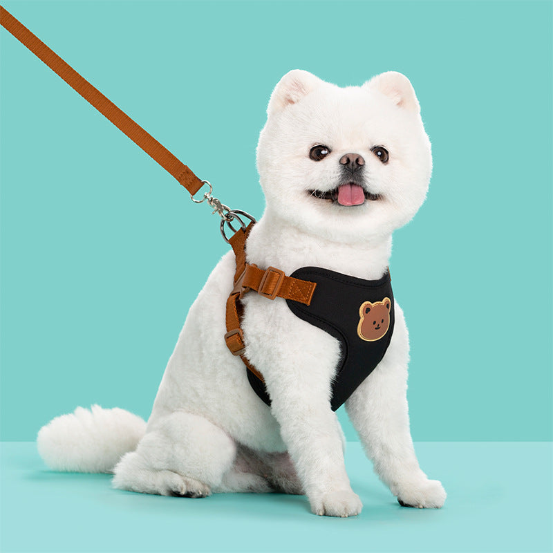 Outing Dog Leash Pet Strap - Premium Everyday Essential