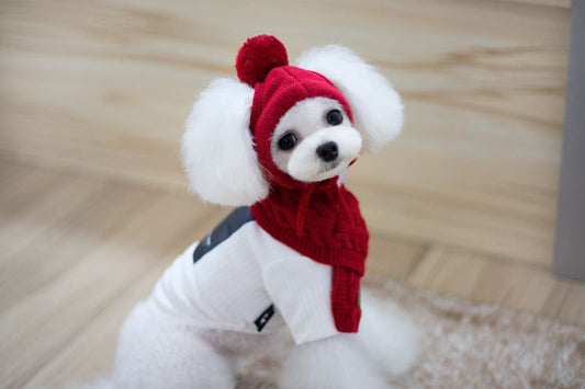 Dog Hat and Scarf Set Winter Warm Woolen Knitted Bib Costume