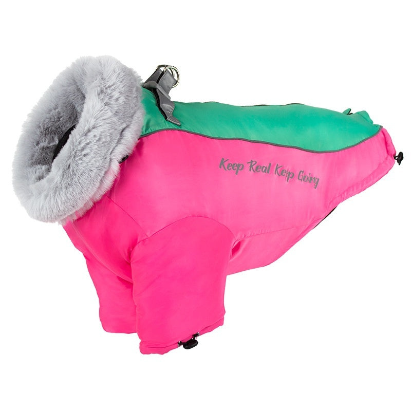 Pet Product - Premium Pet Accessory
